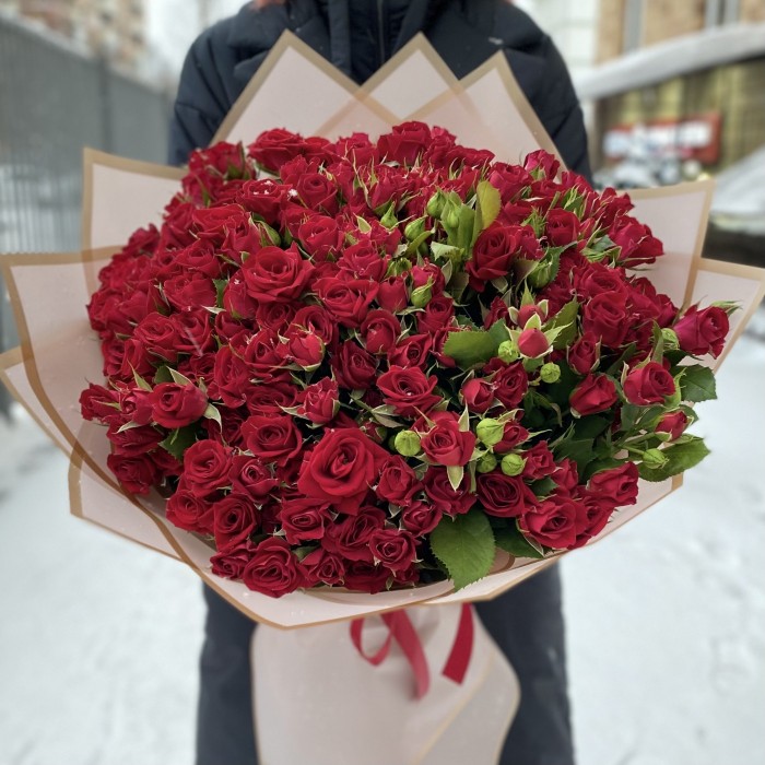 51 кустовая красная роза Рубикон 50 см